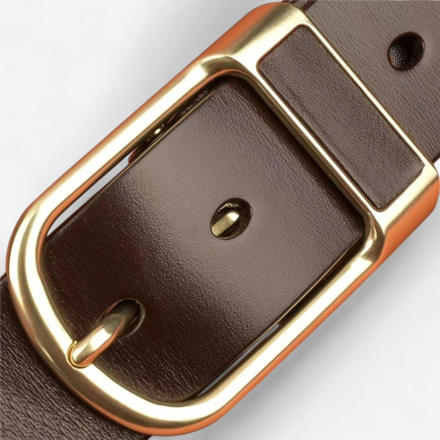 Ceinture pour homme en cuir